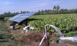 Máy bơm nước năng lượng mặt trời: Tiết kiệm điện, thân thiện với môi trường